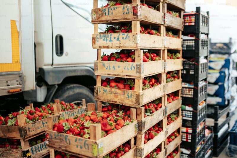 fruittransport
